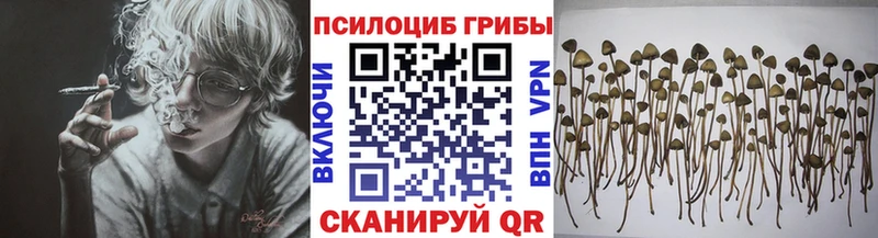 Псилоцибиновые грибы GOLDEN TEACHER  omg ССЫЛКА  Давлеканово 